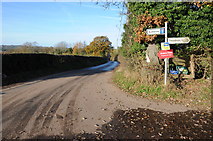SO6358 : No through road at Edwyn Ralph by Philip Halling