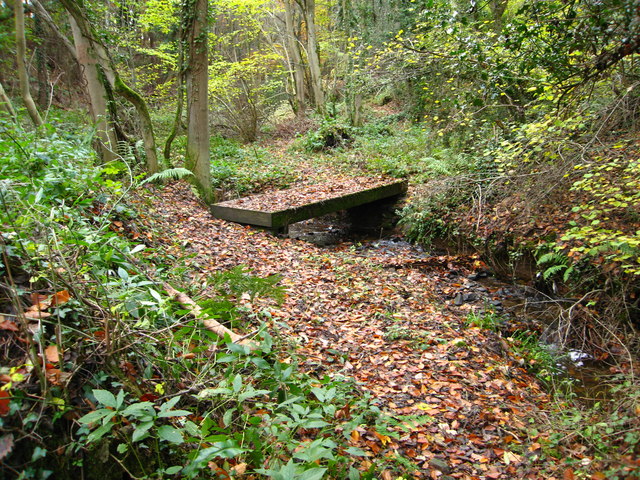 Footbridge over stream in woodland
