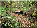 Footbridge over stream in woodland