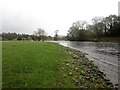 Northern bank of the River Derwent near Papcastle