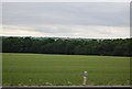 Farmland, Cornwallis Hill