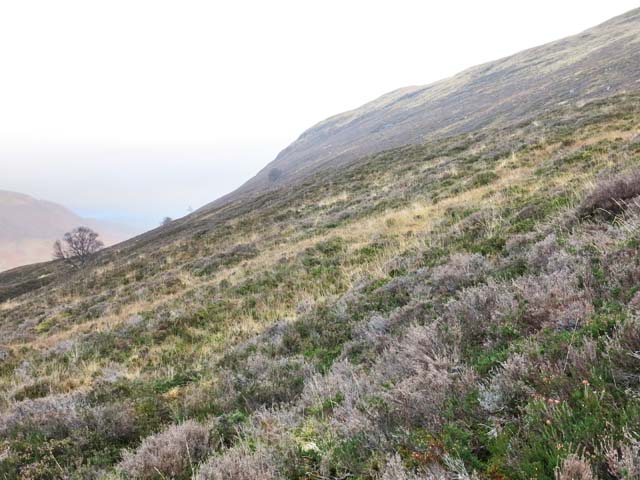 NW slope of Stac Buidhe near Garva Bridge