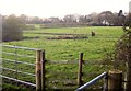 Pasture, Monkton Wyld Cross