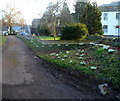 Snowdrops alongside Old Wharf Lane, Whitchurch