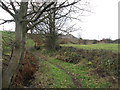 Footpath near Sands Farm