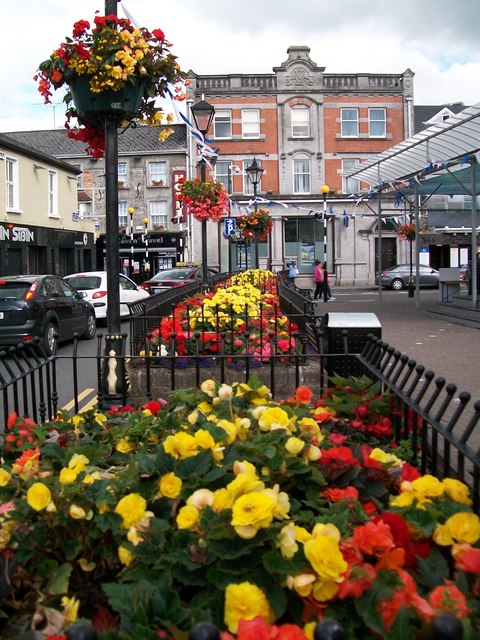 Flower beds in Town Hall Street, Cavan