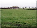 Ridge and furrow south of Lady Pit