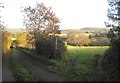 Farm lane, West Glasdon