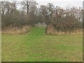 Permissive path in Low Burnhall Wood to join public footpath