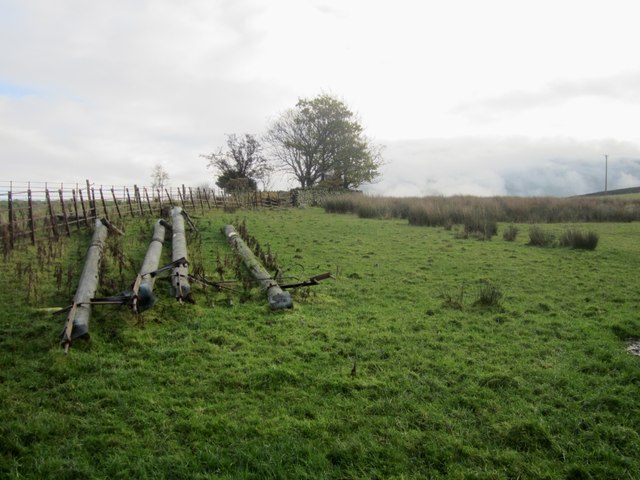 Used telegraph poles in a field