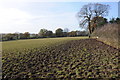 Footpath through a field