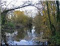 The River Ash, upstream from Squire