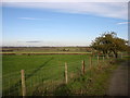 SP4567 : Farmland at Laurel Farm, Hill, Leamington Hastings by David Purchase