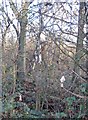 Lofthouse Colliery Nature Park, the down side