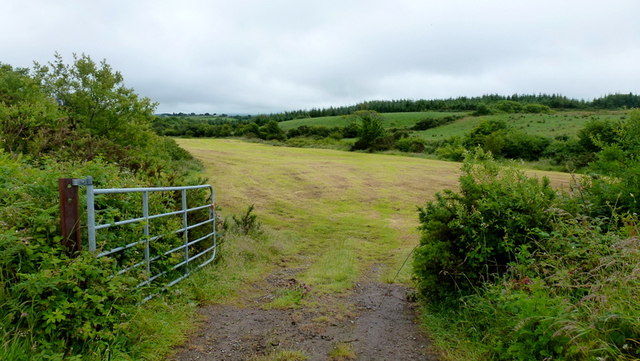 Recently-cut hayfield © Jonathan Billinger :: Geograph Britain and Ireland