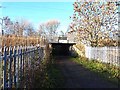 Cycleway under the East Coast Main Line