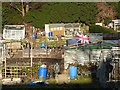 Allotments on Clousden Drive, Longbenton