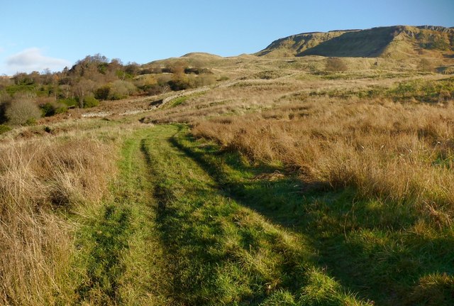Path near the Overtoun Burn