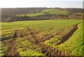 Field near Old Treboul