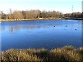 Pond in Silverlink Park