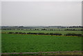 TL5045 : Flat farmland by N Chadwick