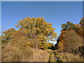 Disused railway line near Ballathie