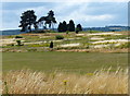 View across Wyre Forest Golf Club