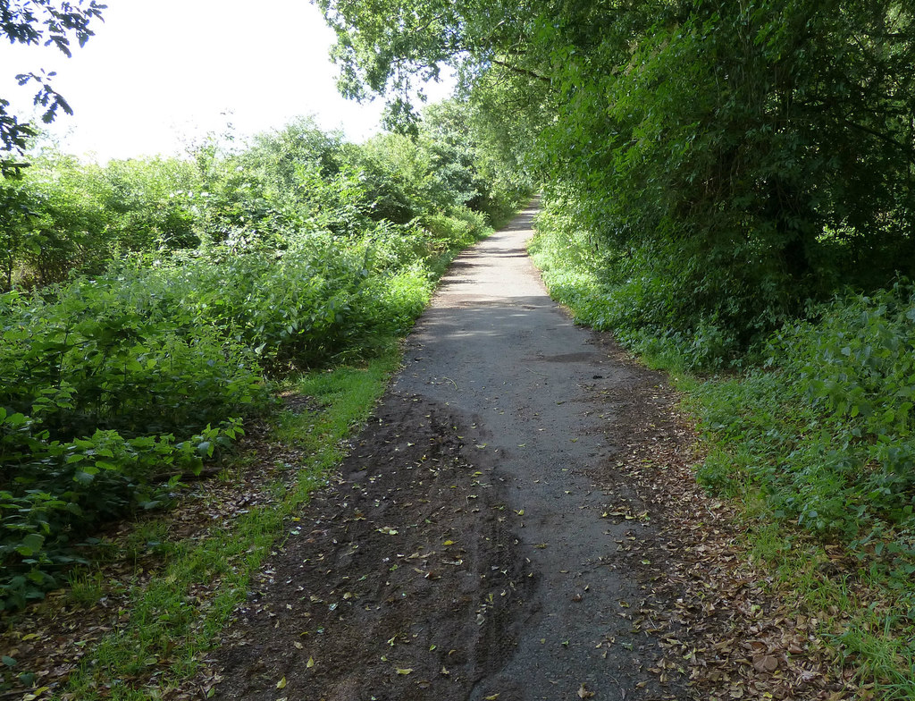 Path at Burlish Top Nature Reserve © Mat Fascione cc-by-sa/2.0 ...