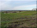 Coppice Farm from above