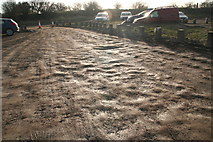 TF4299 : Donna Nook's new carpark by Chris