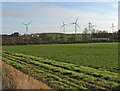 Near West Wratting Valley Farm