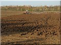 Gulls and the plough