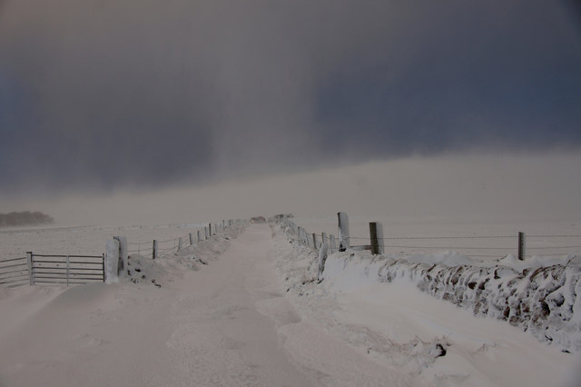 Road to Halligarth, Baltasound, in the snow