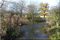 SK9328 : Washdike Lane Ford across the River Witham by Tim Heaton