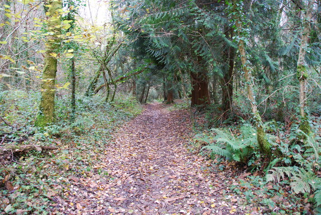 Path through Bake Wood