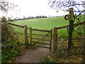 Middle Winterslow, gate