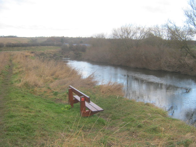Pathside seat overlooking the River Wear in Low Burnhall Wood