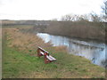 Pathside seat overlooking the River Wear in Low Burnhall Wood