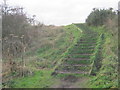 NZ2639 : Steps for path alongside the River Wear by peter robinson