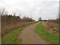 TQ5788 : Path in Folkes Lane Woodland by Roger Jones
