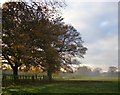 View from Mill Lane, Thorpe