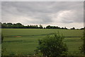 Farmland, Church Langley