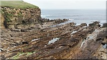 HY2428 : Sandstone flag foreshore, Brough of Birsay by David Hawgood