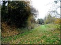 Footpath to Levens Green