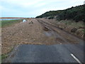 TG0644 : Debris on the coastal road between Cley and Salthouse by Richard Humphrey