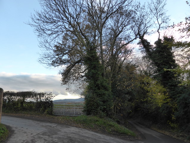 Junction of Park and Rectory Lanes, Warminghurst