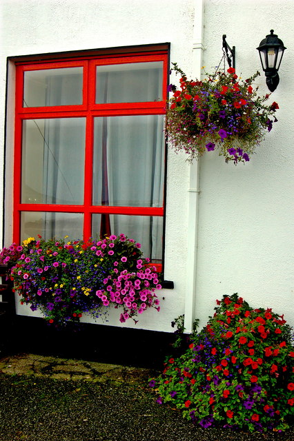 Ballyvaghan - White & Red B&B - Red Window & Flowers