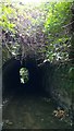 BCDR third culvert over Knock River (upstream end)