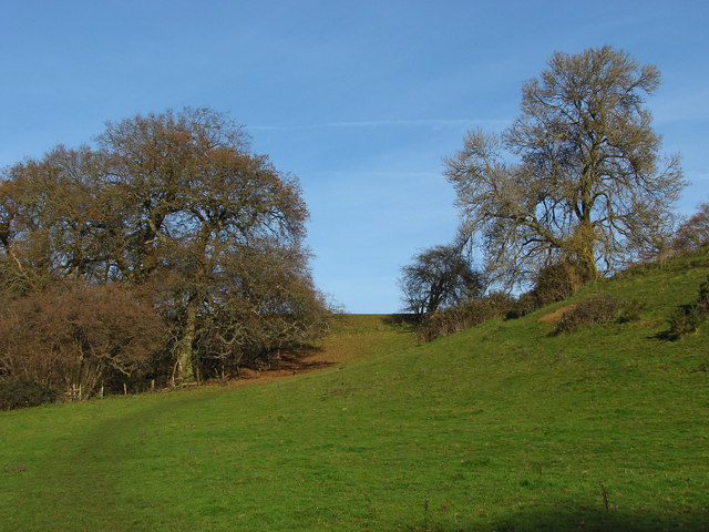 Field near Puttenham Lane