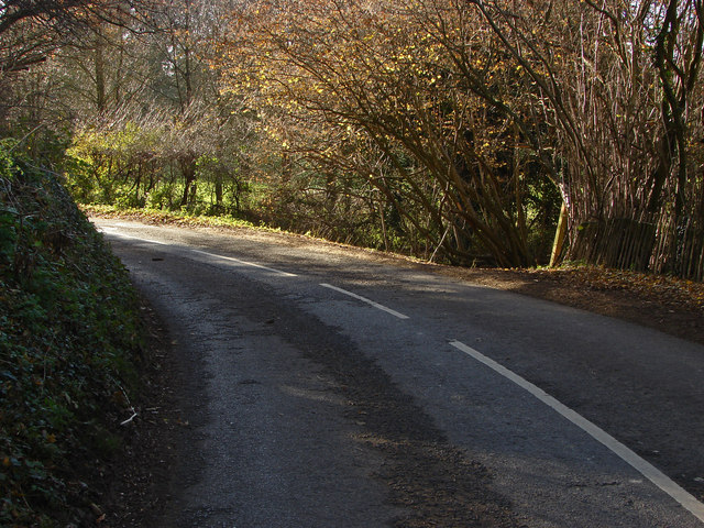 Puttenham Lane
